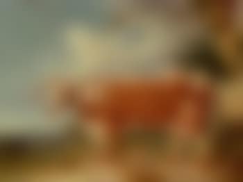 Dam of the bull, Croxall (preview)
