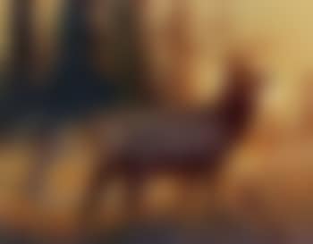 Golden glow (preview)