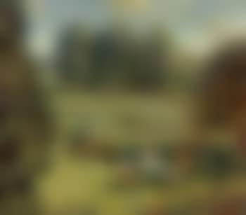 From my bedroom window, summer (preview)