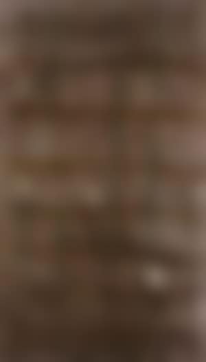 Campo 2 (preview)