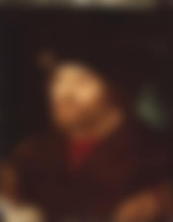 Presumed portrait of Damiao de Gois (preview)