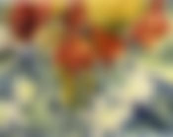Red and oriental lilies. Red and white lilies (preview)