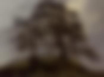 Bryn yr Hen Bobl (preview)