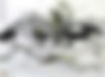 Scenery of Long Tan (preview)