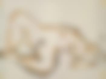 Reclining nude (preview)