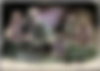 Forest (preview)