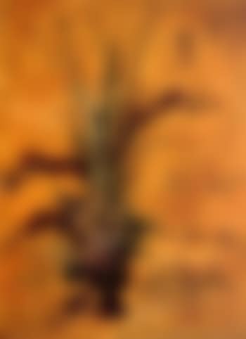 Flowers below (preview)
