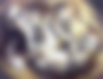 Tussle (preview)
