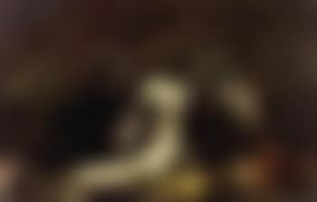 Still life with pheasant, basket, asparagus and songbirds (preview)