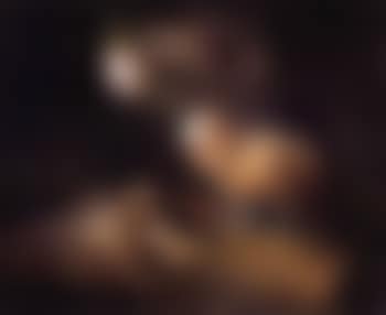 Sheep in stable (preview)