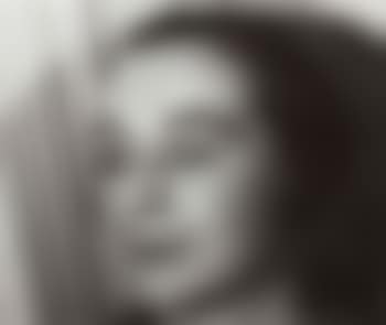 Sonia Delaunay (preview)