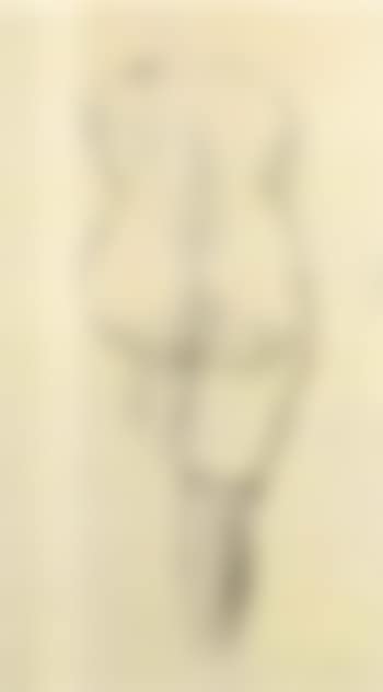 Standing female nude (preview)