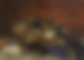 Un panier de richards (preview)