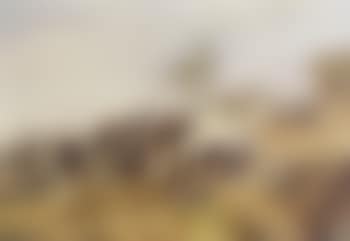 Indian rifles in action (preview)