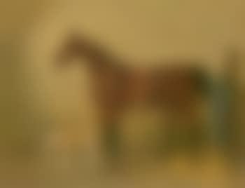 Saddled bay hunter in a stable with a dog (preview)