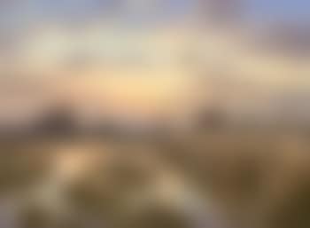Evening flight, Martham, Norfolk Broads (preview)