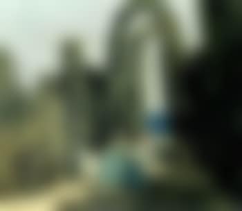 Masked ladies (preview)