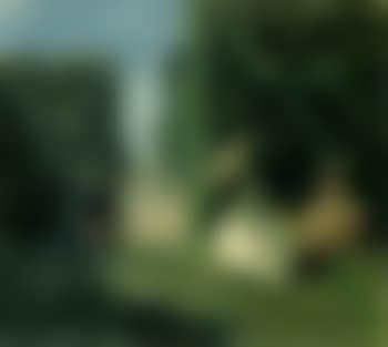 Ladies in garden (preview)