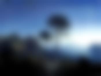 Landscape (preview)