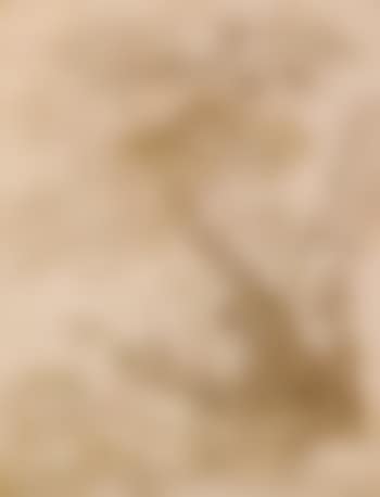 Un arbre dans un paysage (preview)