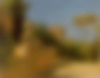 Le parc d'une villa a Rome avec un sphinx (preview)