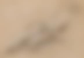 Une femme drapee allongee (preview)