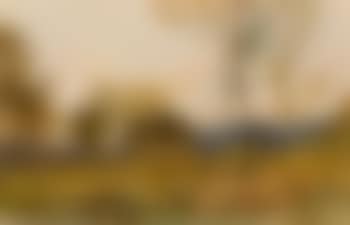 Paysage avec des arbres et des rochers au premier plan (preview)