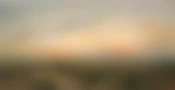 Marsh at evening (preview)