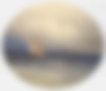 Dutch brigantine and steamer at sea (preview)