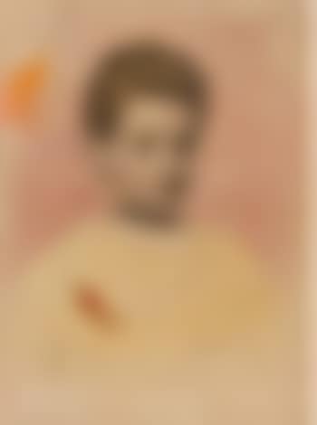 Portrait of Vera Shevtsova (preview)