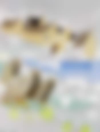 Brittany (preview)