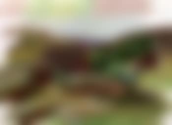 Small tree clump and red house (preview)