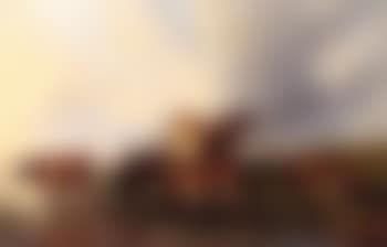 Cattle watering (preview)