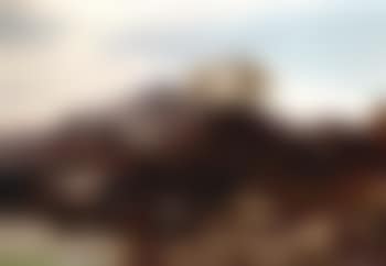 Cattle watering (preview)