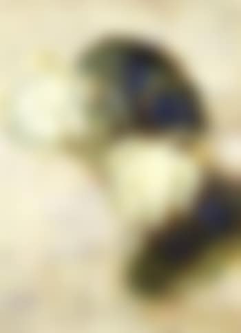 Two lotus flowers (preview)