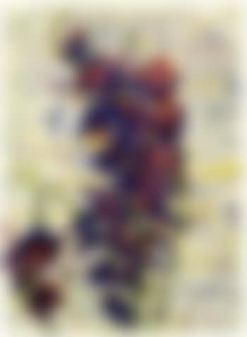 Gladiolas (preview)