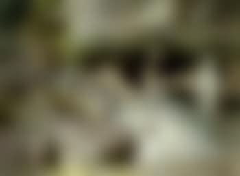 Bathers at Cap Ferrat (preview)