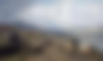 Sheep beside the tarn (preview)