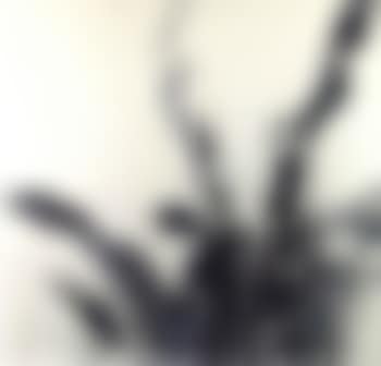 Composition (preview)