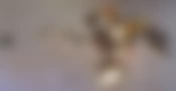 Lame aux spirales (preview)