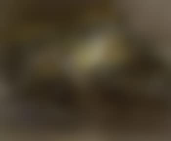 Composition (preview)