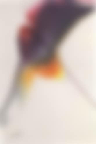 Orchid (preview)