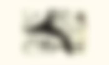 Composition (preview)