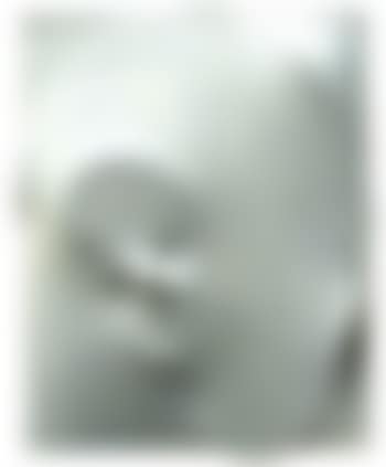 White (preview)