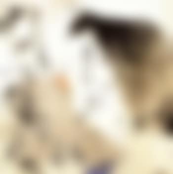 Untitled (preview)