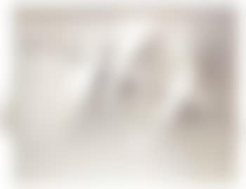 White (preview)