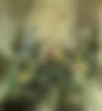 Conscience ensoleillee (preview)