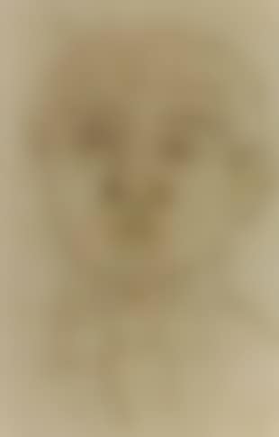 Head of prodigy boy (preview)