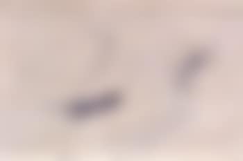 Composition (preview)