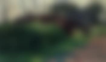 Boerenhof (preview)